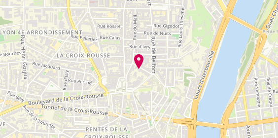 Plan de Animalerie de la Croix-Rousse, 10 Rue d'Austerlitz, 69004 Lyon
