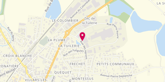Plan de Gamm Vert, 439 Rue des Hérons, 01330 Villars-les-Dombes