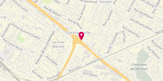 Plan de Nutri Dog Services, 185 avenue Maurice Berteaux, 78500 Sartrouville