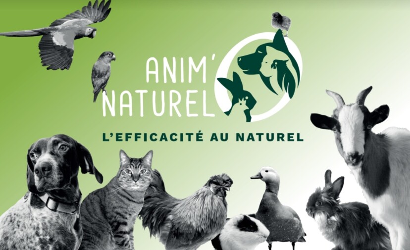 Anim 'O Naturel - 17170 Courçon